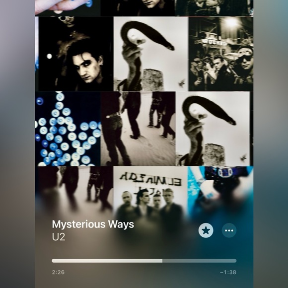 Meet your Posher, Devon 🔮 🪄 🌙 ✌🏼 ☮️ - Picture 14 of 15